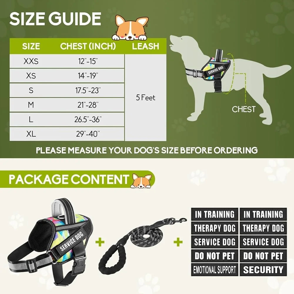 Service Dog Harness Leash Set Reflective No Pull Multi Color Training Vest Durable Lightweight Small to XL Dogs