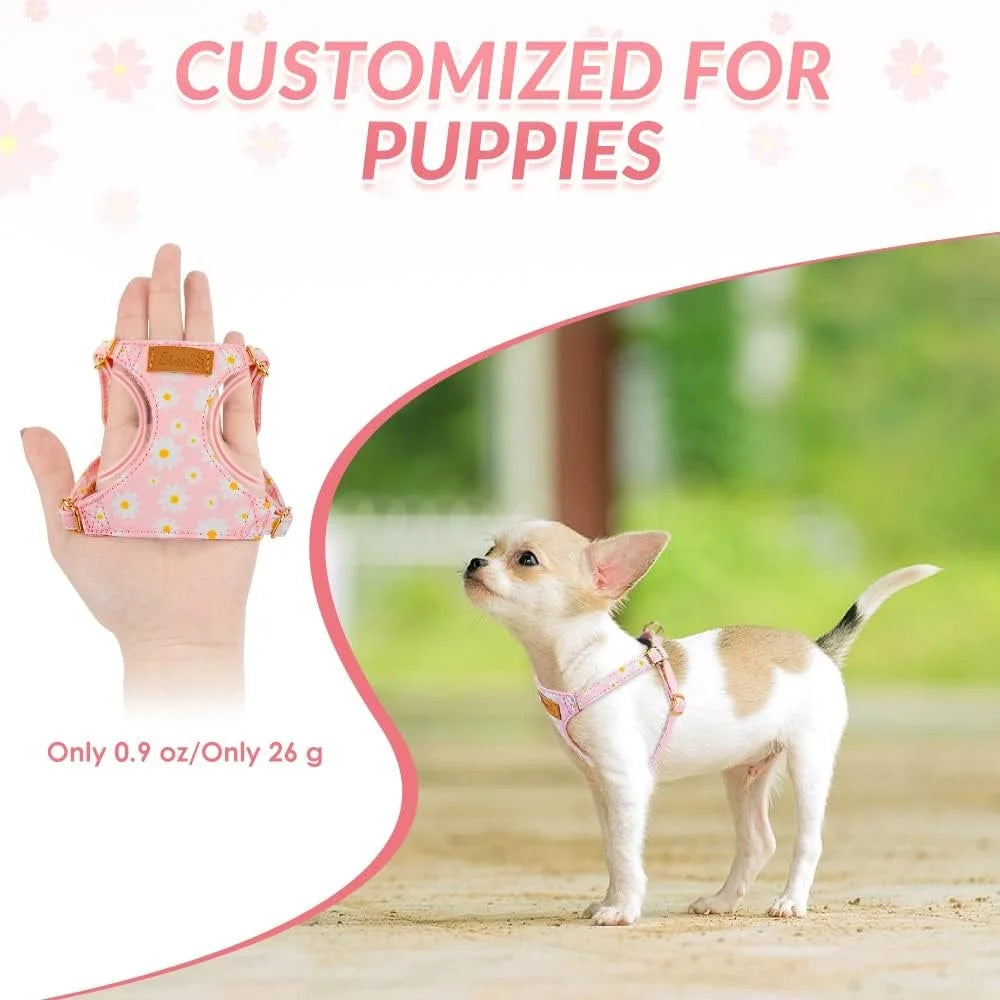 No Pull Dog Harness Adjustable Lightweight Soft Floral Pattern Pet Safety Leash Step In Design for Small and Medium Dogs