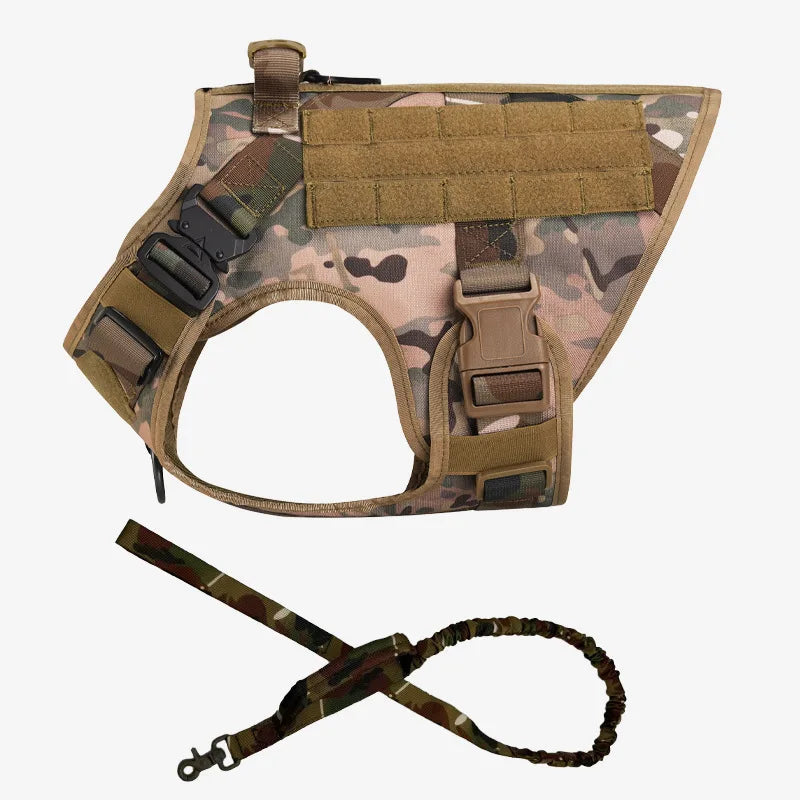 Large Dog Harness And Leash Set For Training And Walking