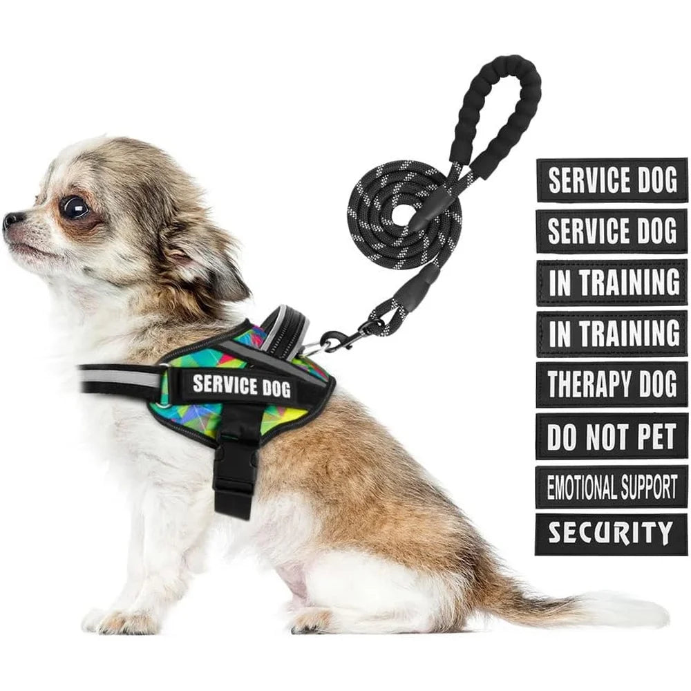 Service Dog Harness Leash Set Reflective No Pull Multi Color Training Vest Durable Lightweight Small to XL Dogs