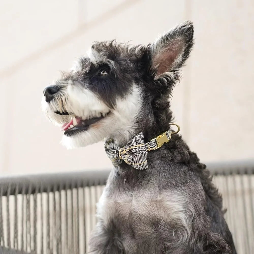 XMSJ Cute Adjustable Dog Harness Set For Small Dogs Cats