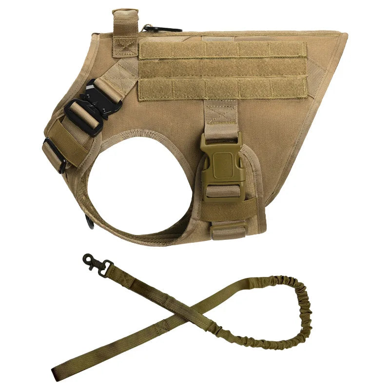 Large Dog Harness And Leash Set For Training And Walking