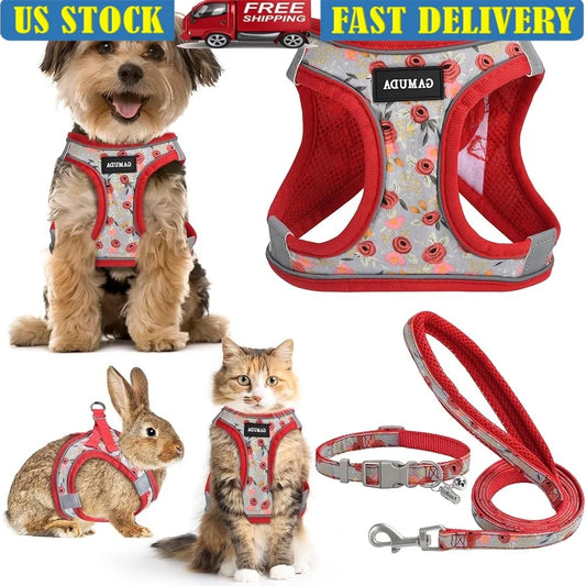 Fujian Adjustable Dog Harness Set Reflective Mesh Leash Vest