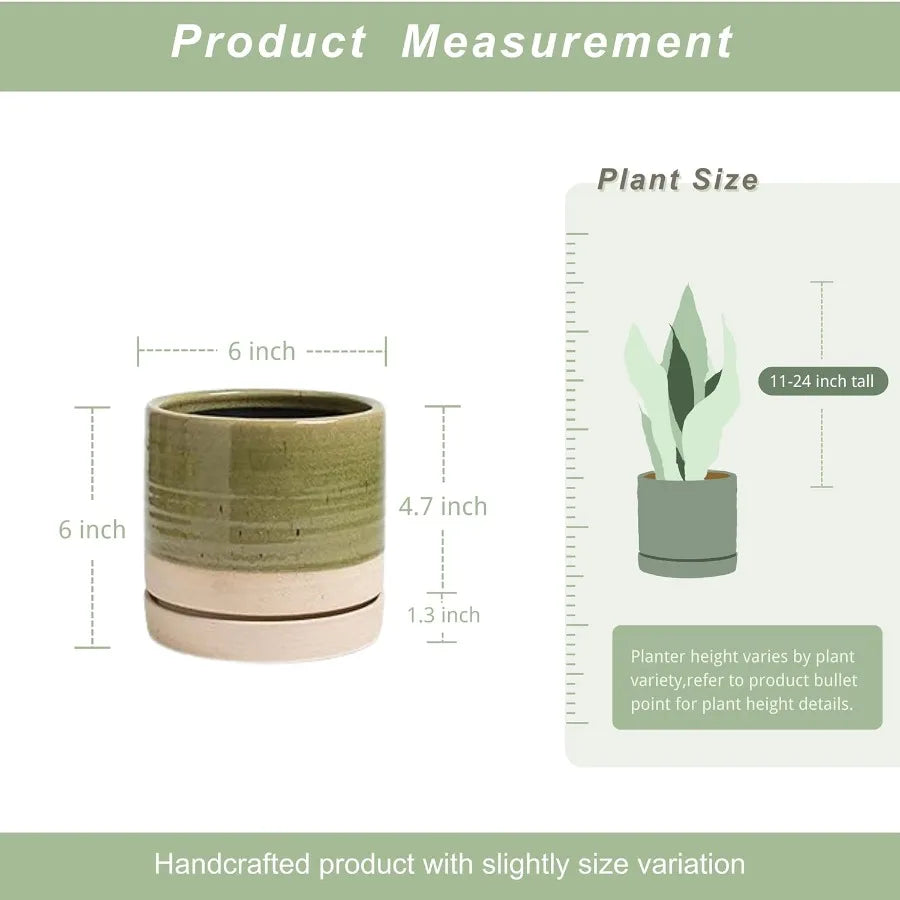 6 Inch Ceramic Plant Pots With Drainage Hole And Saucer