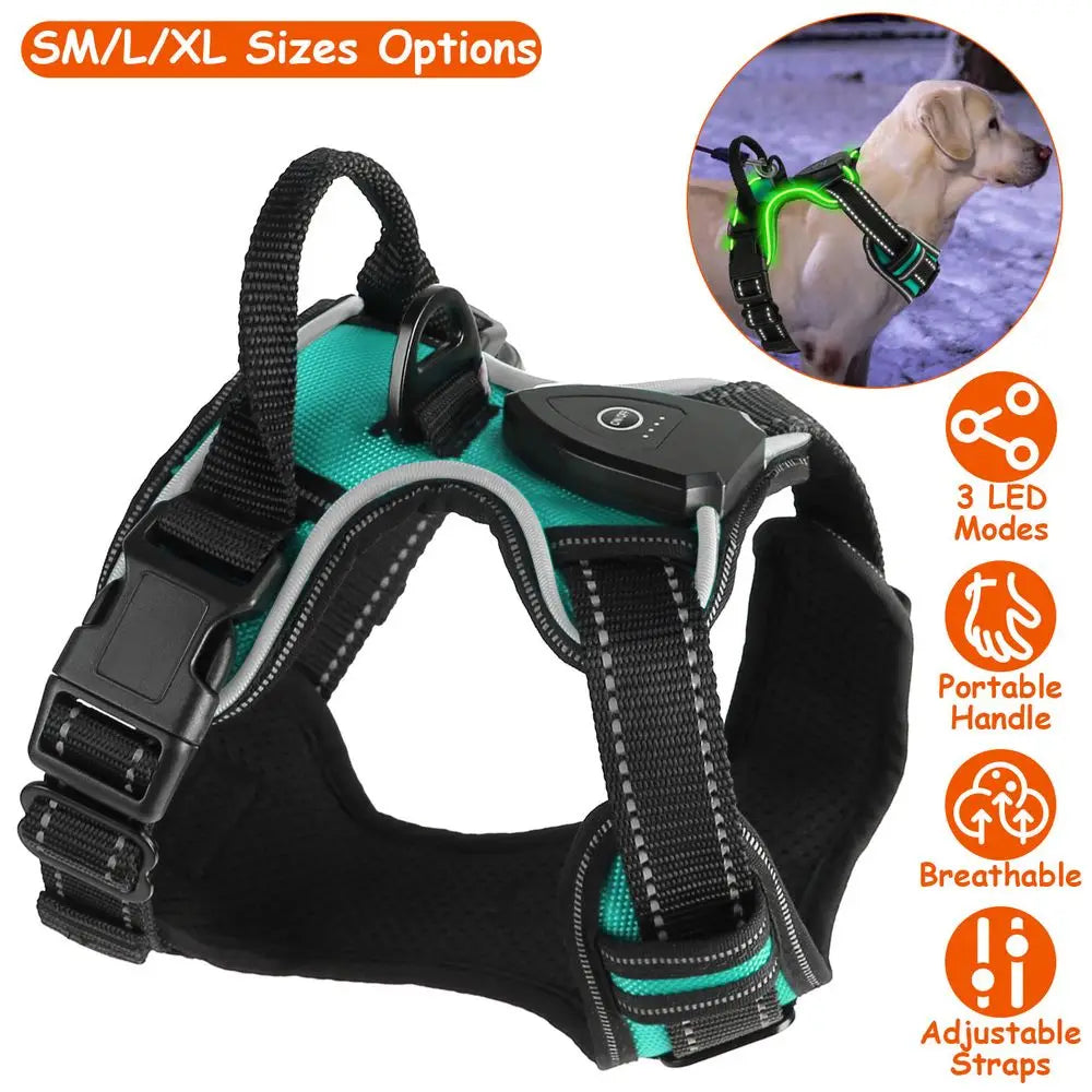 Hunan Hign LED Dog Harness Rechargeable Light Vest