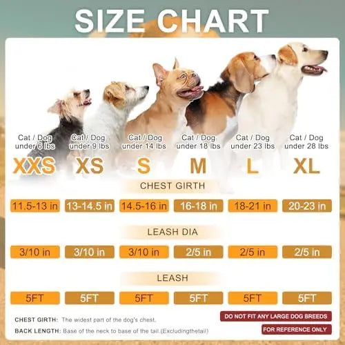 YTYIN Safe Harness Set for Small Dogs and Cats Reflective