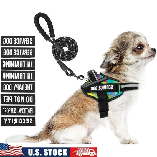 Service Dog Harness Leash Set Reflective No Pull Multi Color Training Vest Durable Lightweight Small to XL Dogs