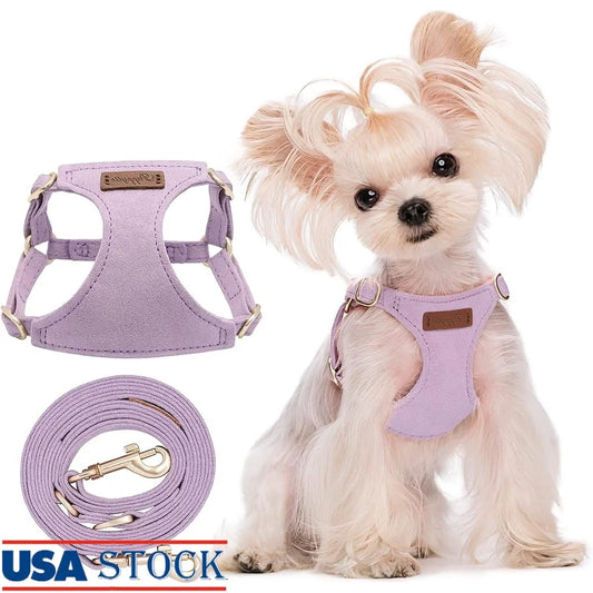 Fujian Adjustable No Pull Puppy Harness With Leash