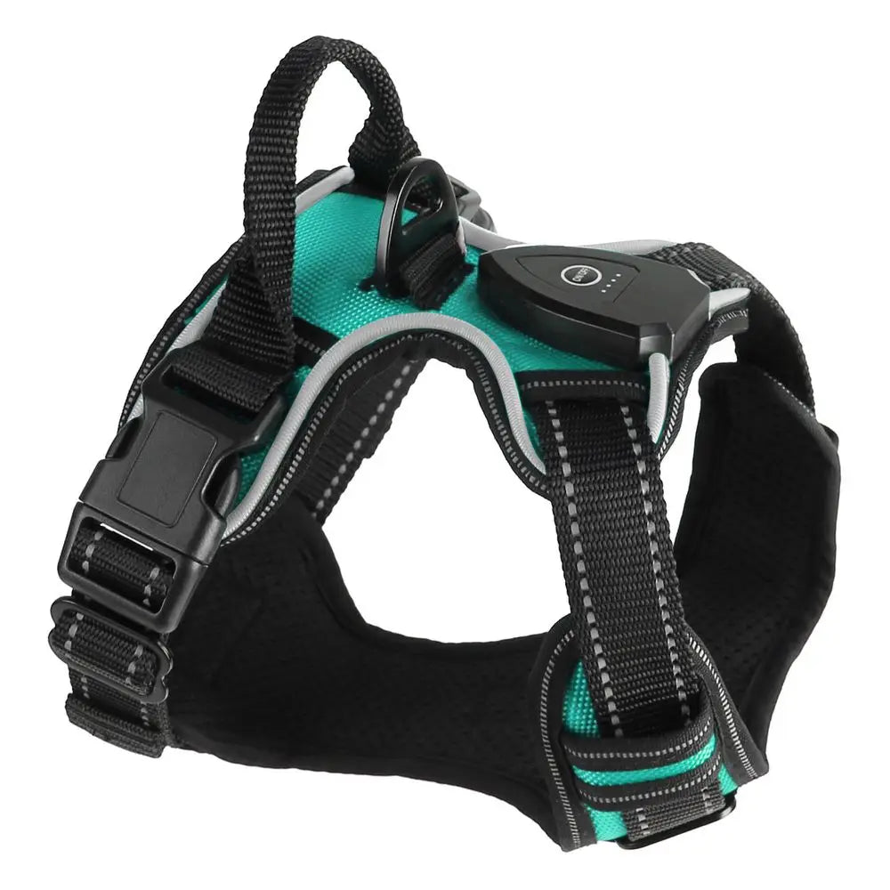 Hunan Hign LED Dog Harness Rechargeable Light Vest