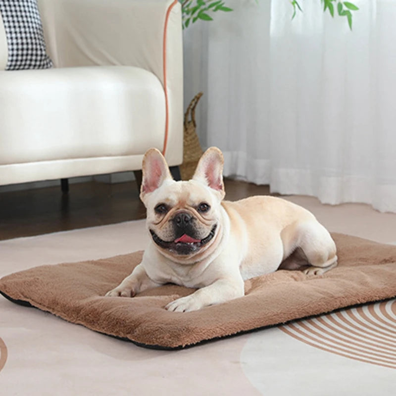 Cozy Heated Plush Dog Bed Mat For Cats And Small Dogs