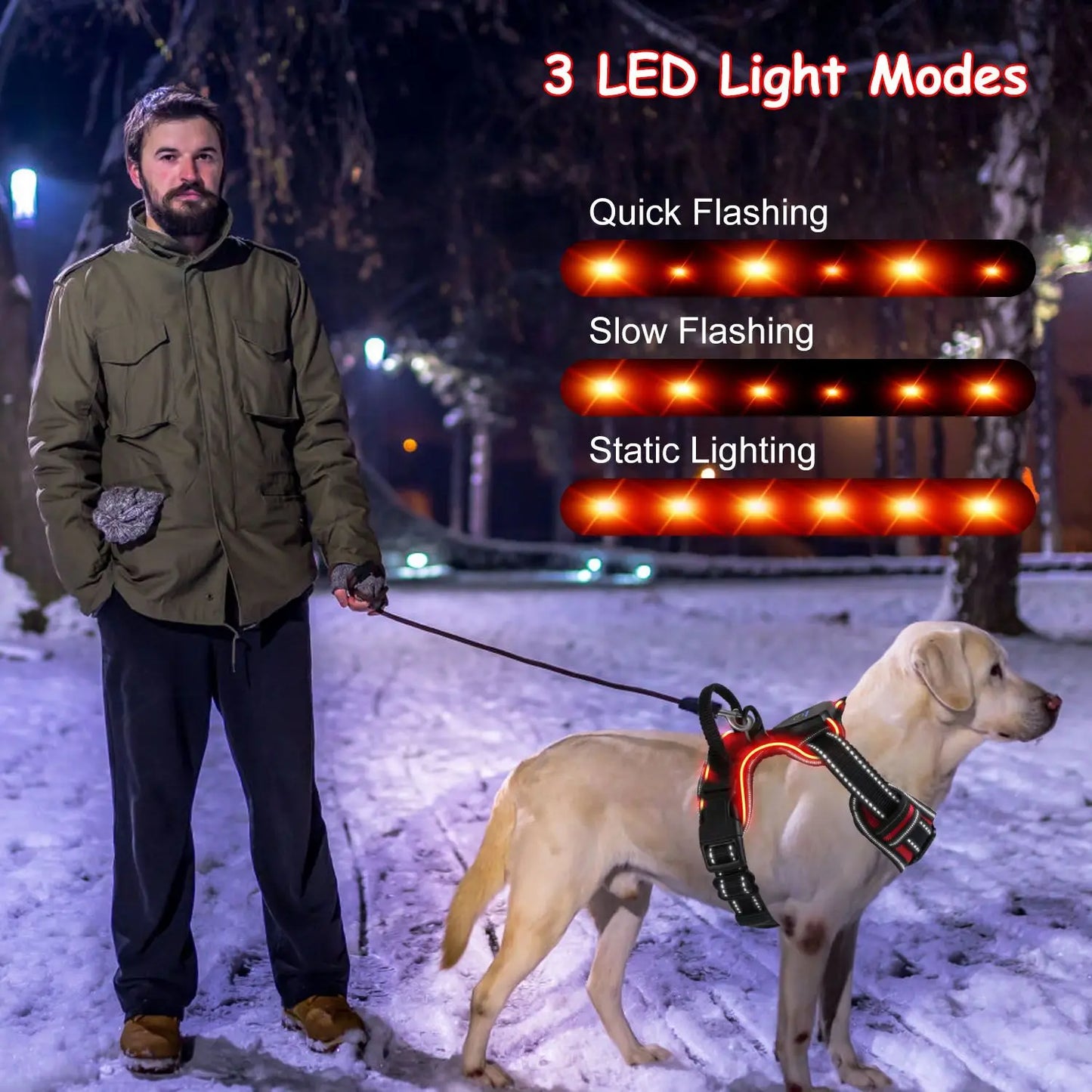 Hunan Hign LED Dog Harness Rechargeable Light Vest