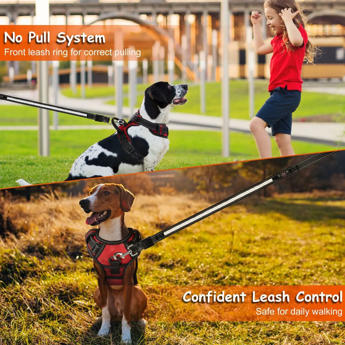 Hunan Hign LED Dog Harness Rechargeable Light Vest