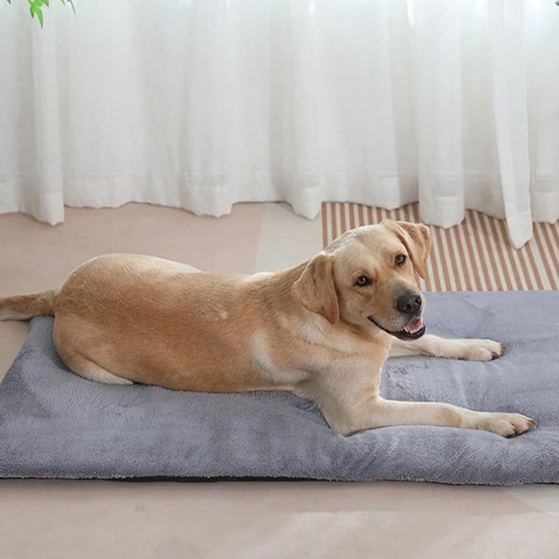 Cozy Heated Plush Dog Bed Mat For Cats And Small Dogs