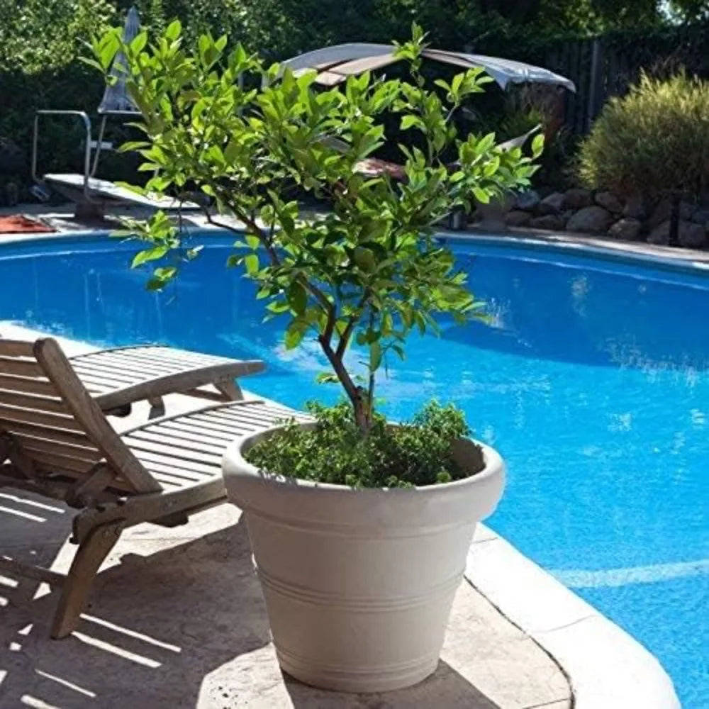 Crescent Garden Brunello Planter Weathered Concrete
