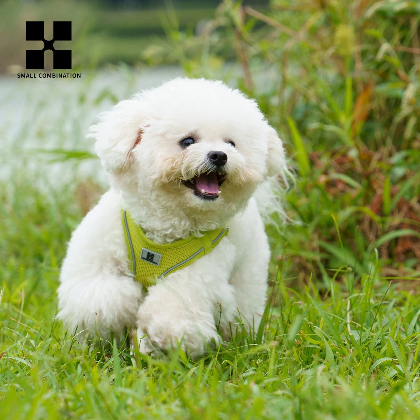 Dog Harness Leash Set Reflective Adjustable For All Dogs