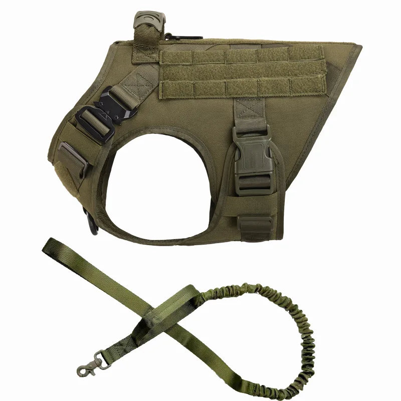 Large Dog Harness And Leash Set For Training And Walking