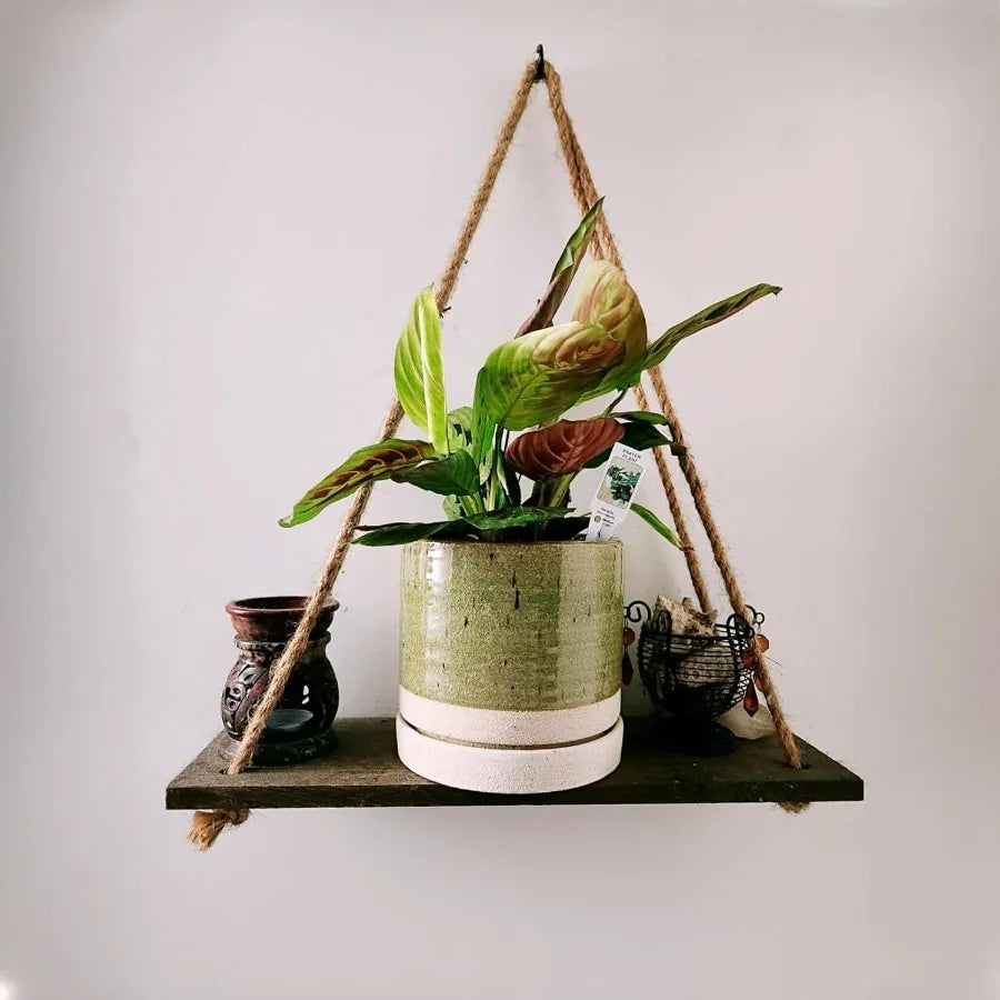 6 Inch Ceramic Plant Pots With Drainage Hole And Saucer