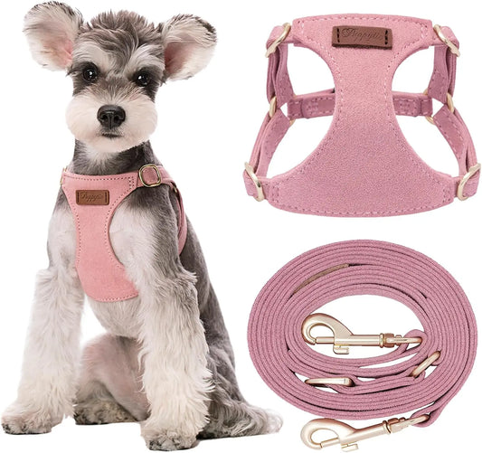 Adjustable No-Pull Dog Harness With Leash Escape-Proof Vest