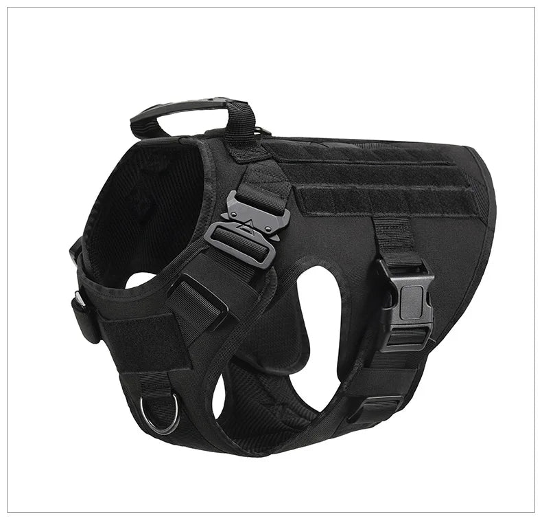 Large Dog Harness And Leash Set For Training And Walking