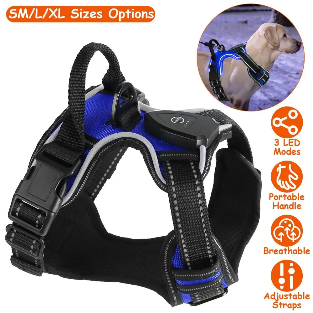 Hunan Hign LED Dog Harness Rechargeable Light Vest
