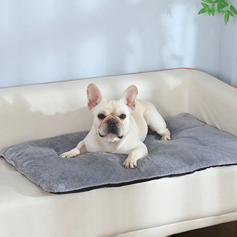Cozy Heated Plush Dog Bed Mat For Cats And Small Dogs