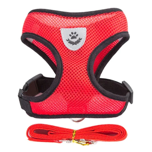 Breathable Adjustable Dog Harness And Leash For Small Dogs