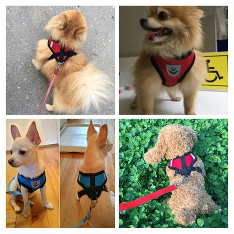 YTYINCN Adjustable Dog Harness Leash Set Durable Polyester For Pets