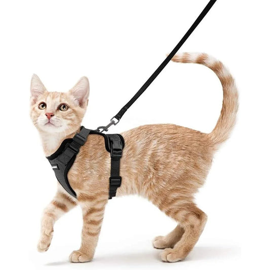 Fujian Escape Proof Cat Harness And Leash Adjustable