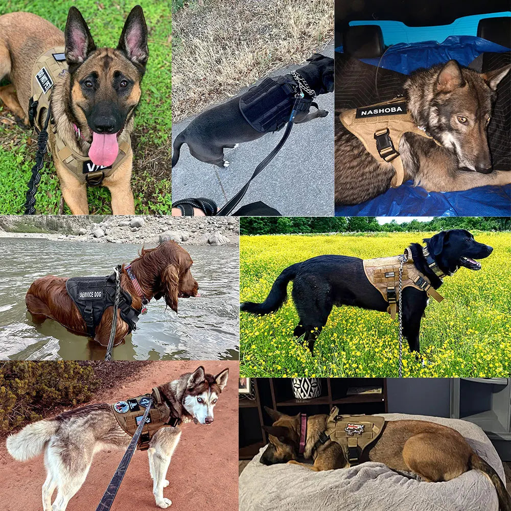 Large Dog Harness And Leash Set For German Shepherd Malinois Training Walking Vest And Collar For Medium Large Dogs