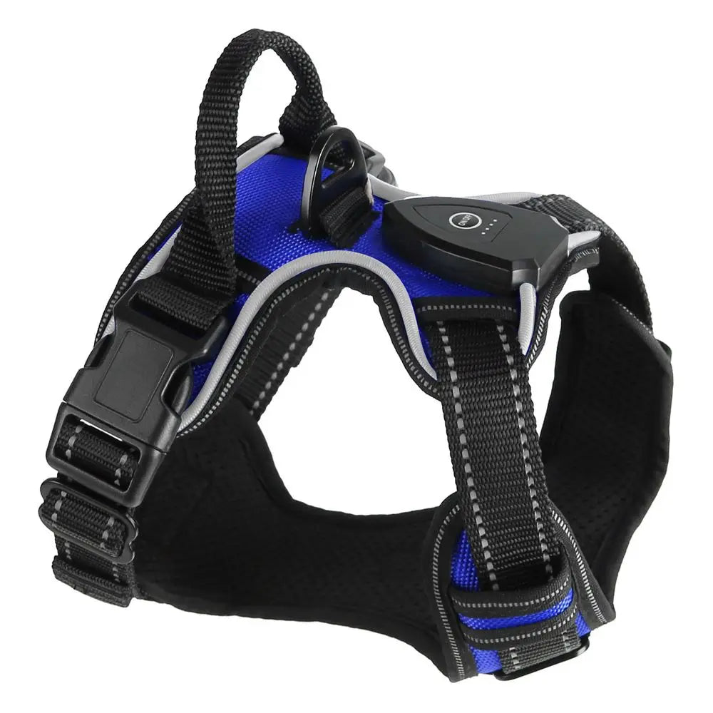Hunan Hign LED Dog Harness Rechargeable Light Vest