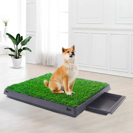 2 Pack Realistic Grass Rug for Pet Potty Training Indoor