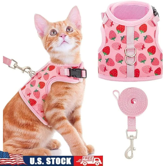 Fujian Escape Proof Cat Harness With Leash Fashionable Mesh