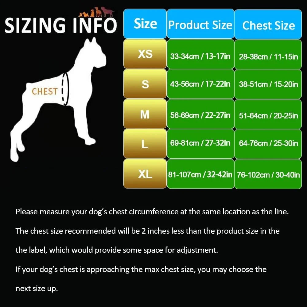 Reflective No Pull Dog Harness Soft Ergonomic Design Lightweight Comfortable Nylon Webbing with Handle and Two Leash Attachments