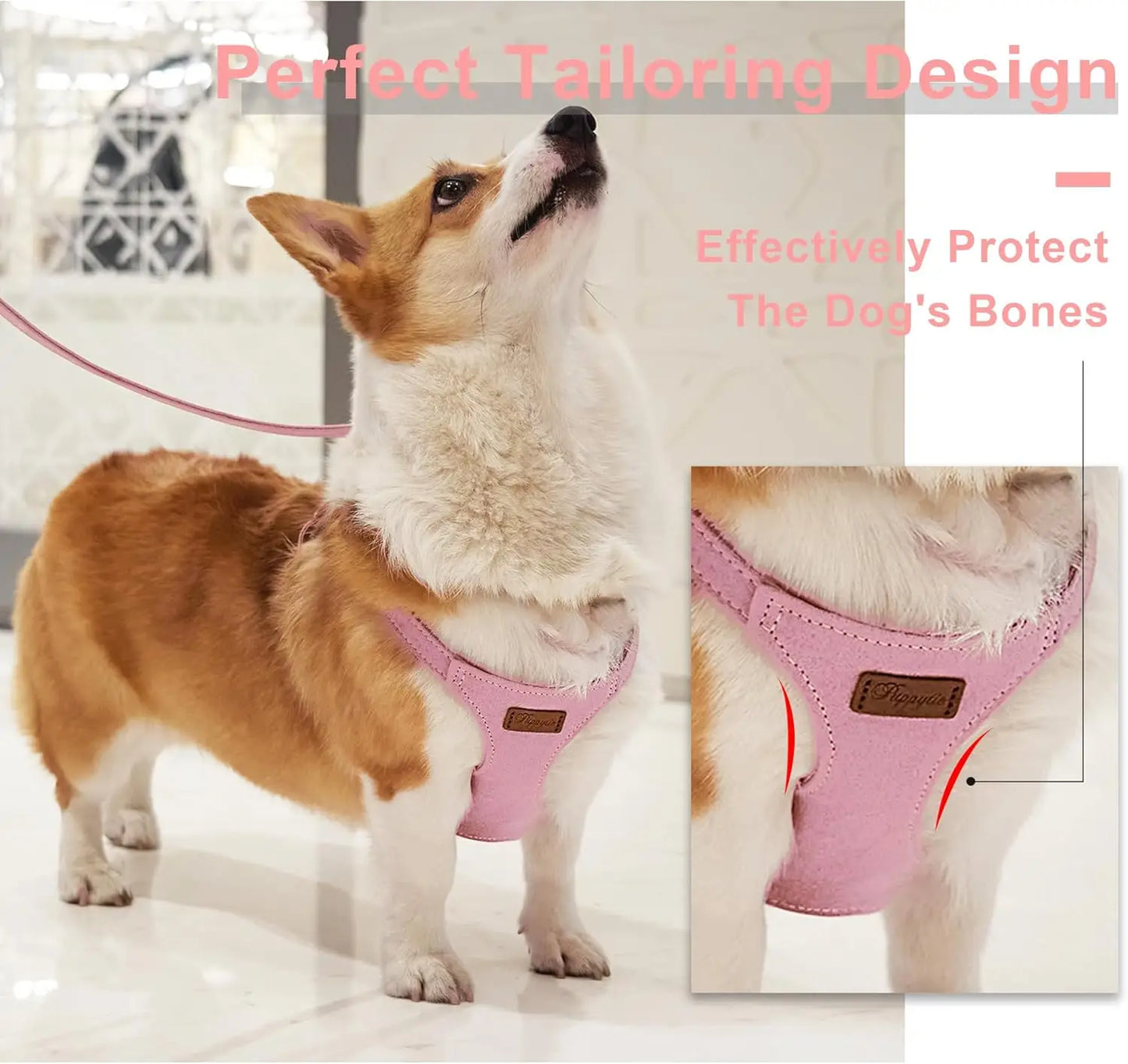 Adjustable No-Pull Dog Harness With Leash Escape-Proof Vest