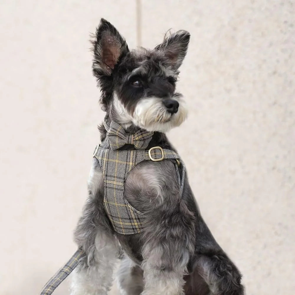Cute Small Dog Harness Set Adjustable Soft Plaid Pet Collar Leash Bowtie for Puppies Walking and Parties